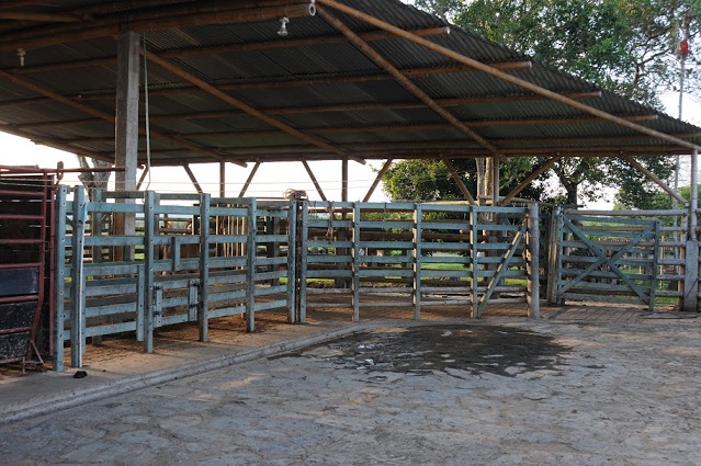 corral plástico corral de madera plástica corrales de wpc corrales de plastimadera corrales corralejas establos pesebreras madera y plástico maderplast maderas sintética maderplas wpc 0009 corral plástico corral de madera plástica corrales de wpc corrales de plastimadera corrales corralejas establos pesebreras corral plástico corral de madera plástica corrales de wpc corrales de plastimadera corrales corralejas establos pesebreras madera y plástico maderplast maderas sintética maderplas wpc 0009 madera y plástico maderplast maderas sintética maderplas wpc 0009